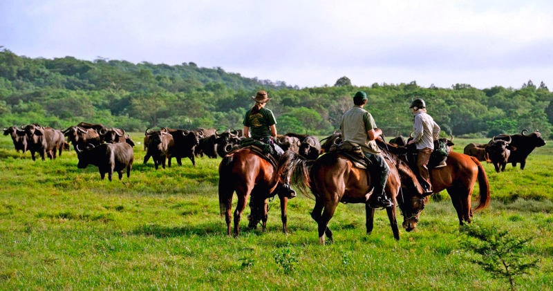 Vacances à cheval en Tanzanie