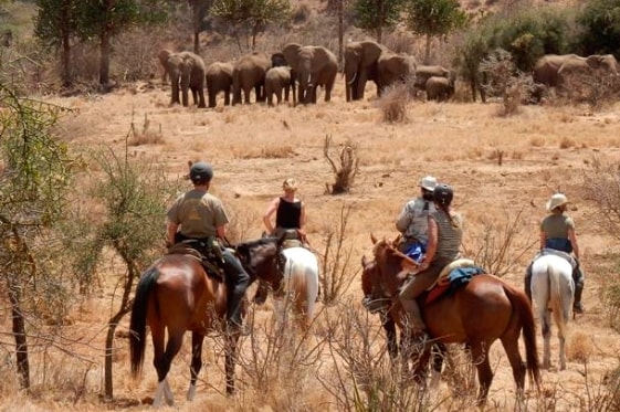 Randonnées à cheval en Tanzanie