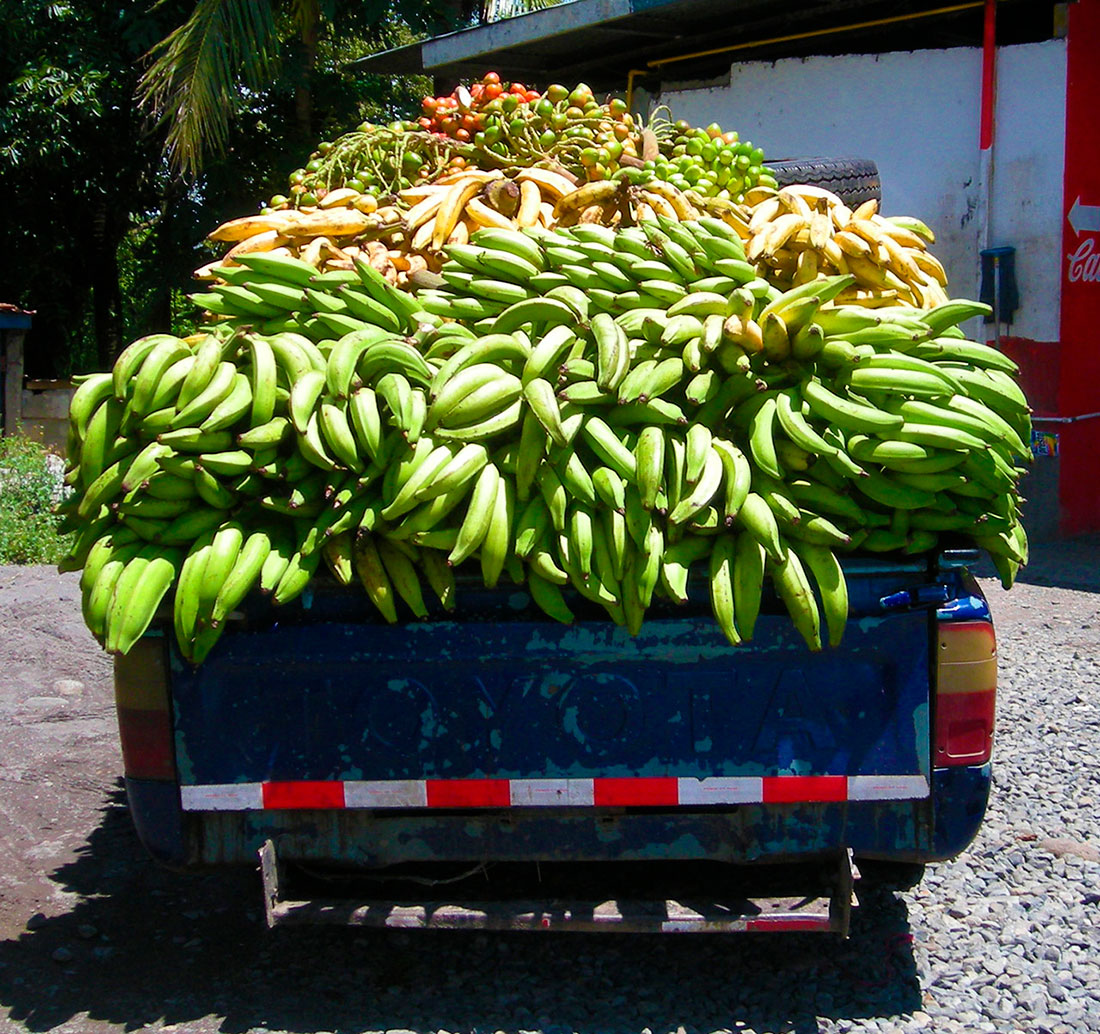 Panama Landscapen