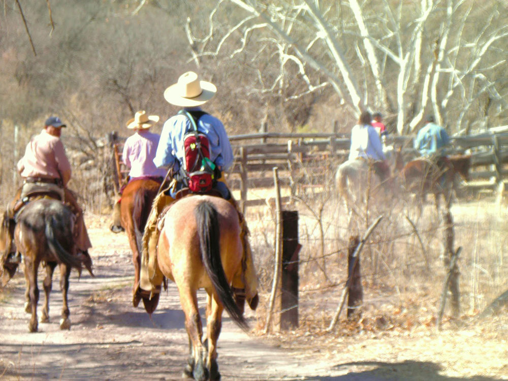 Départ du route équestre Mexique