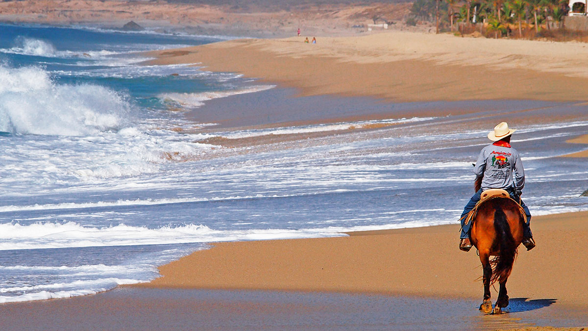 Promenade à cheval sur la plage Mexique