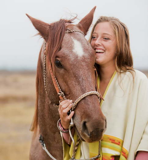 Cheval Quarter horse