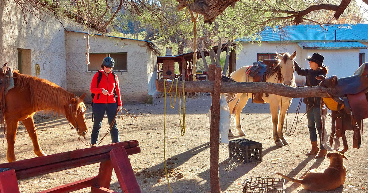 Preparing the horses Mexico