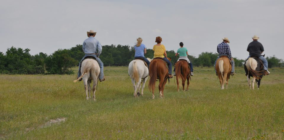 montar a caballo