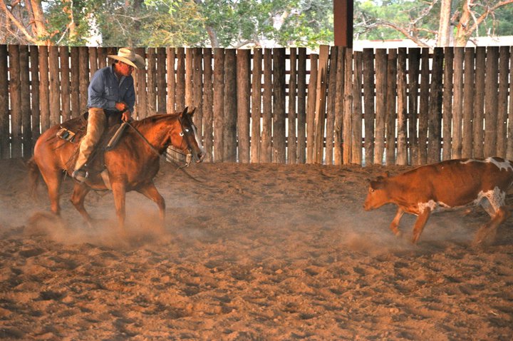 Ranch-Arbeiten