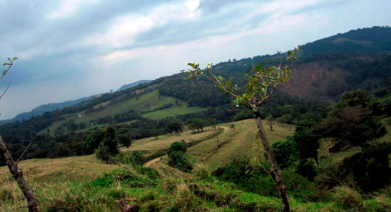 Die Felder in Costa Rica