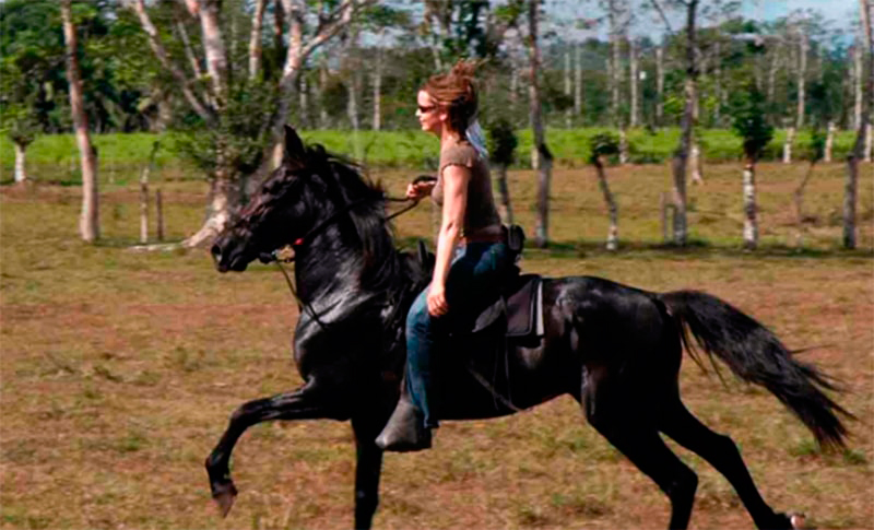 Horse riding in Costa Rica