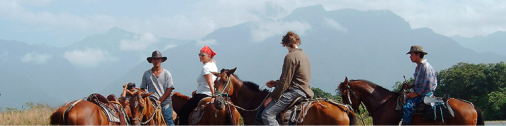Horase riders in Honduras