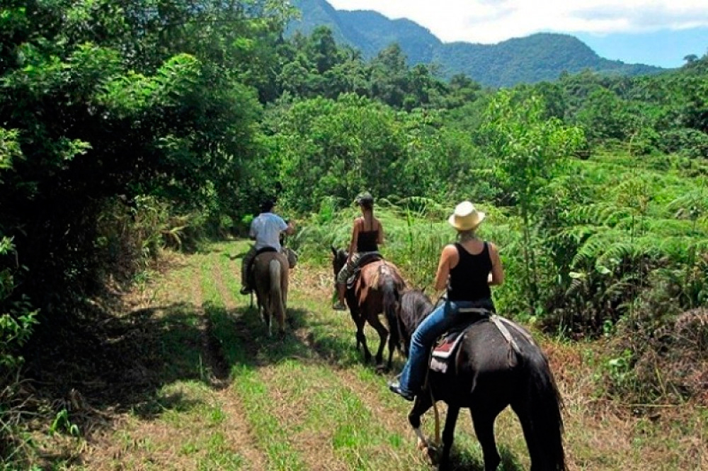 Horse riding in Honduras