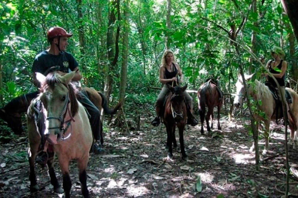 Cabalgar en la jungla de Honduras