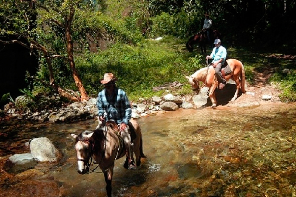Cangrejal Valley zu Pferd