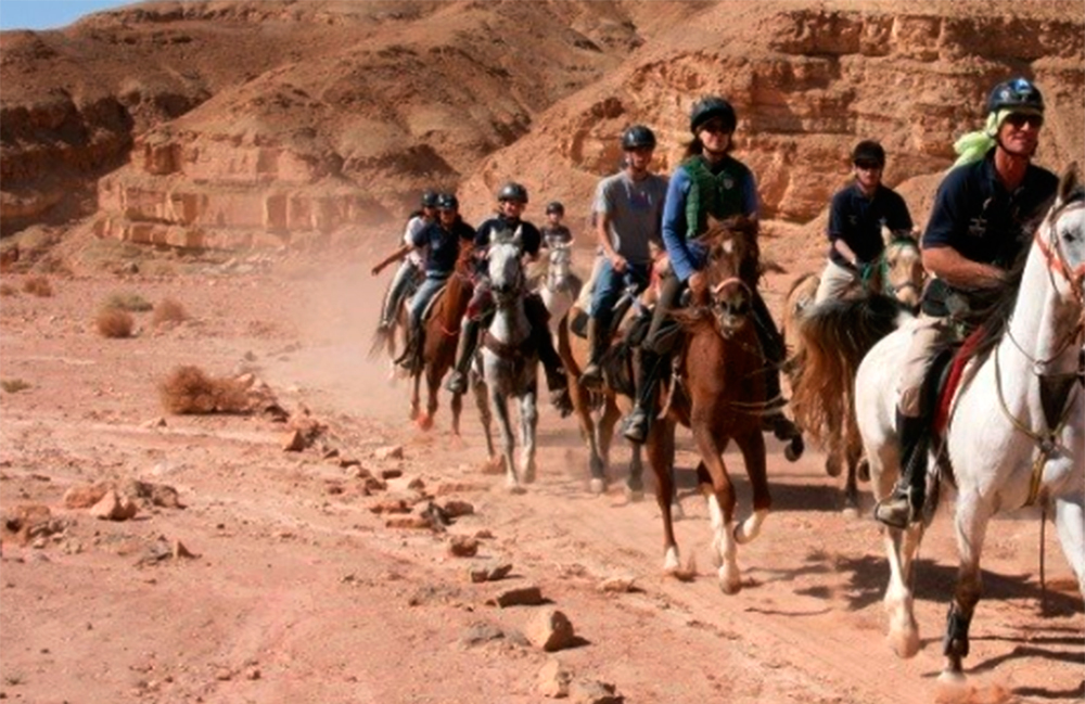 Horse Riding in the Negev Crater