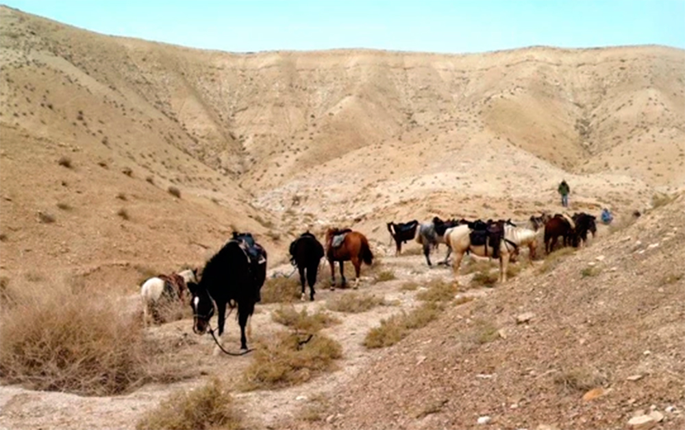 Désert de Judée - Isra Trail