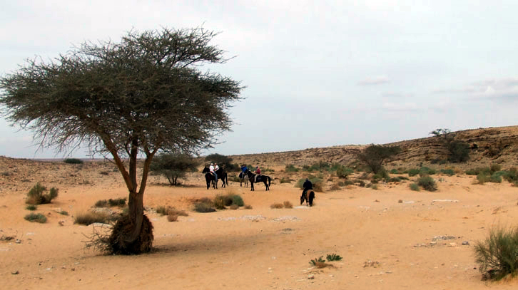 The Negev desert - Sirin Riders