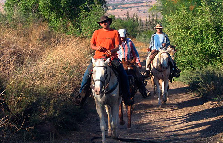 The Galilee Adventure Sirin Riders