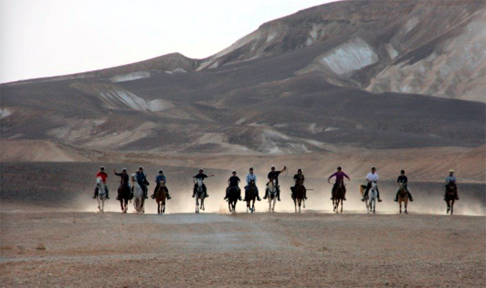 Ruta en el Cráter del Negev