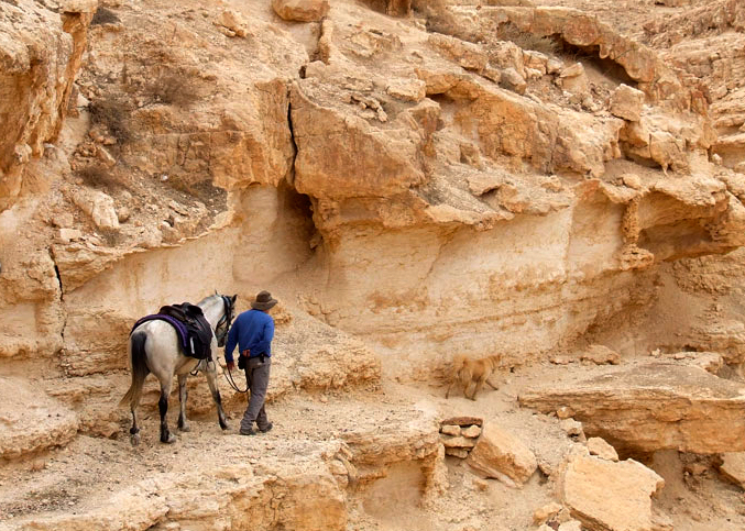 Ruta El desierto del Negev Sirin Riders 2