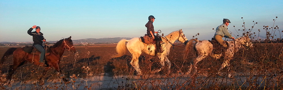 Équitation Sirin Riders - Israël