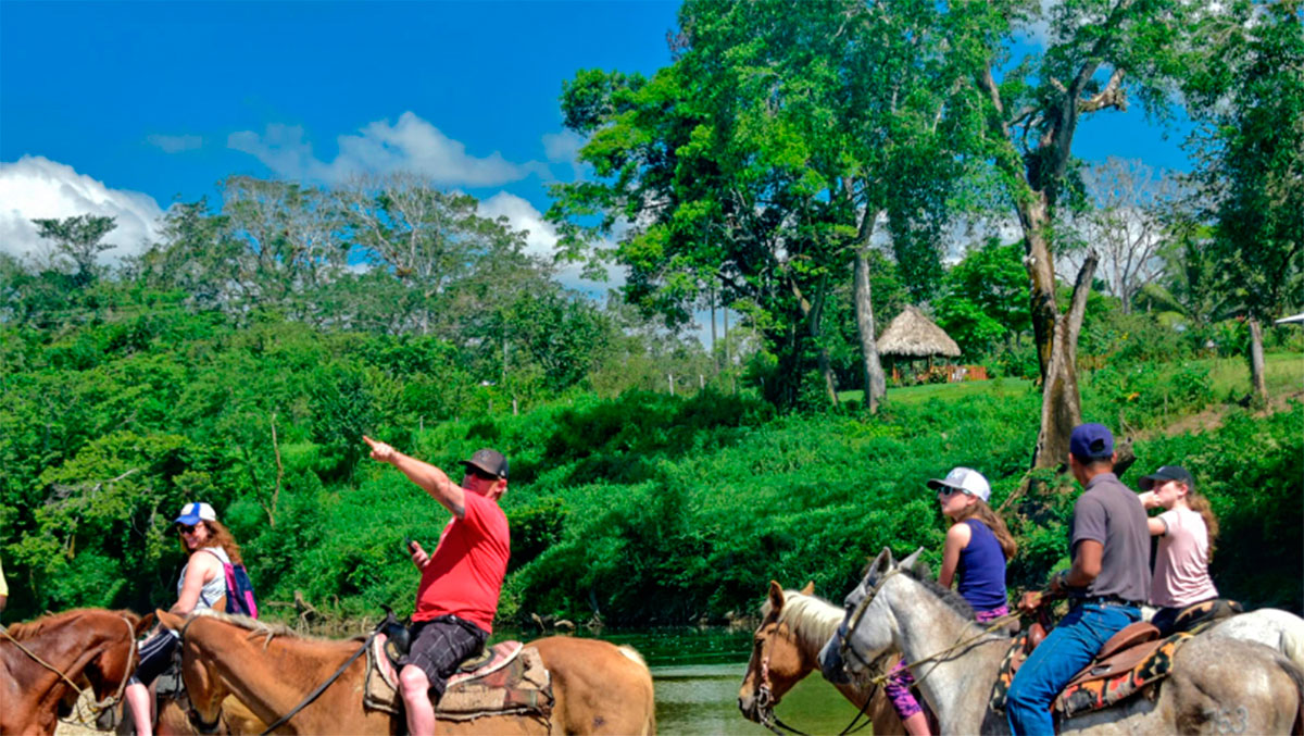 Banana Bank Horses y Belize Jungle Lodge