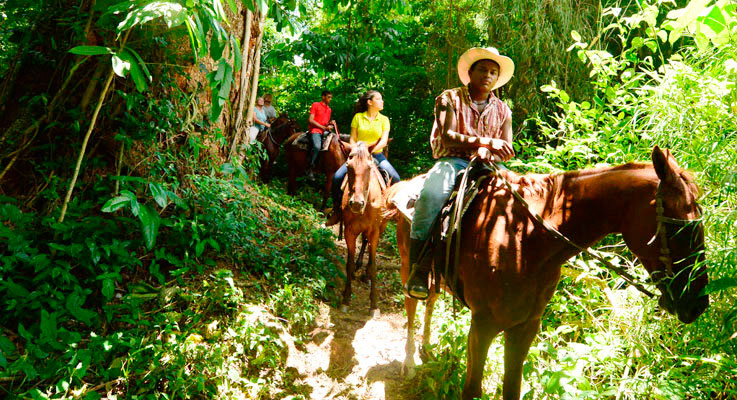 Horseback riding at Banana Bank Horses