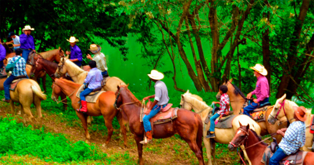 Horse riding in Banana Bank Horses