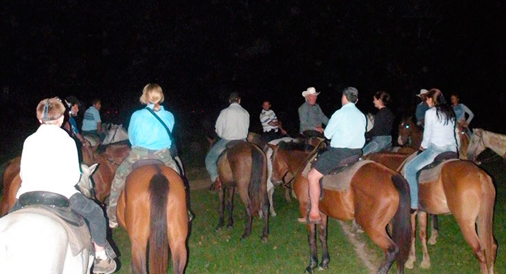 Night Rides in Banana Bank Horses