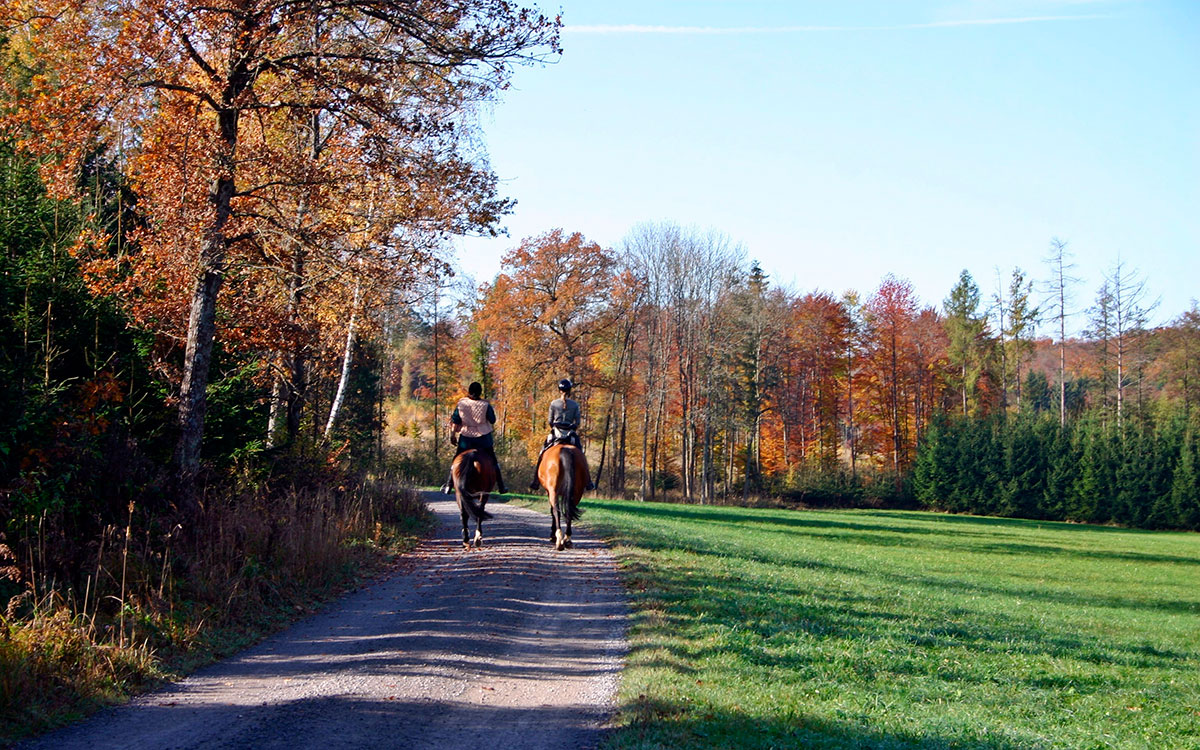 Horse riding holidays Germany