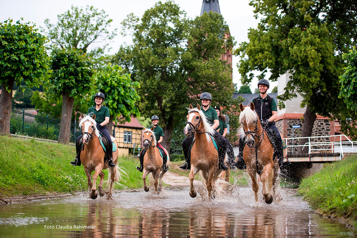 Guided cross-country ride