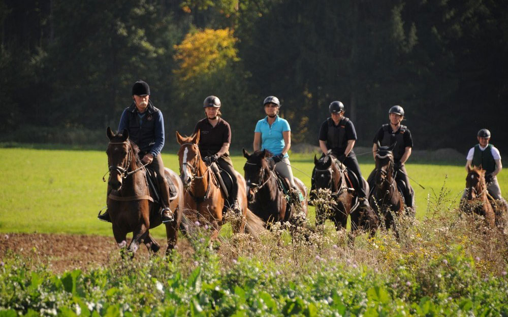 Horse trail Germany