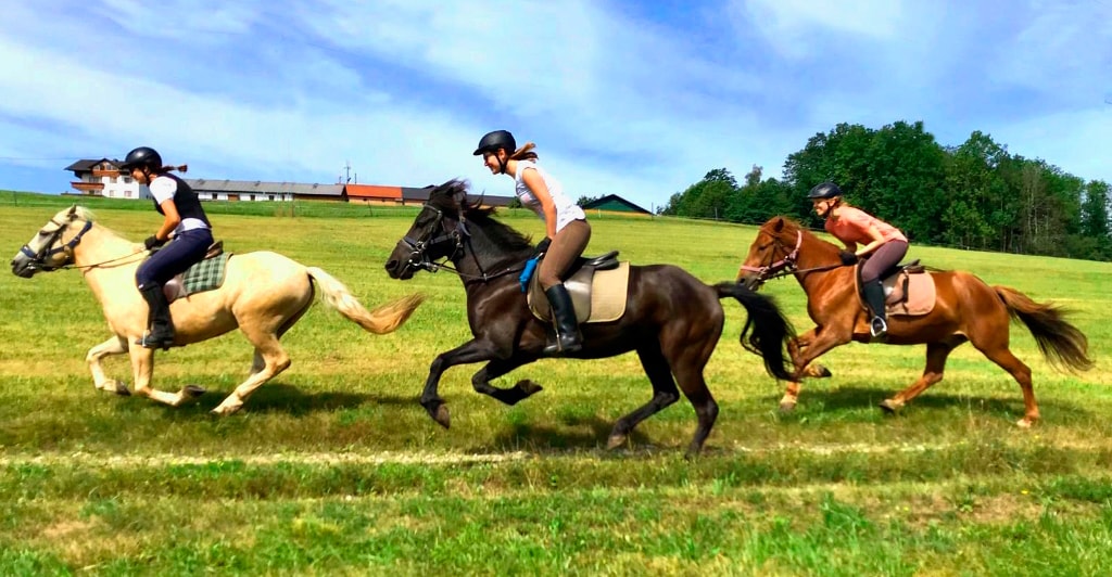 Equestrian Activity - Pferdehof Koaser Minerl