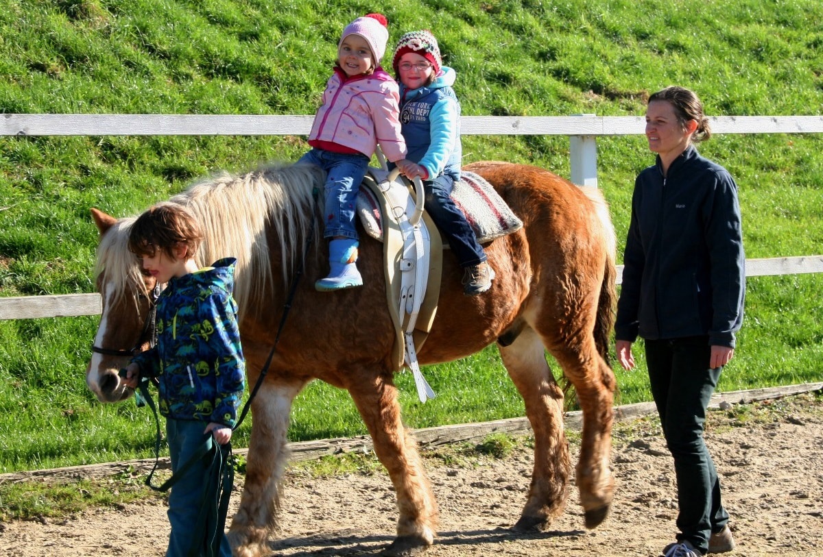 Learn to ride - Pferdehof Koaser Minerl