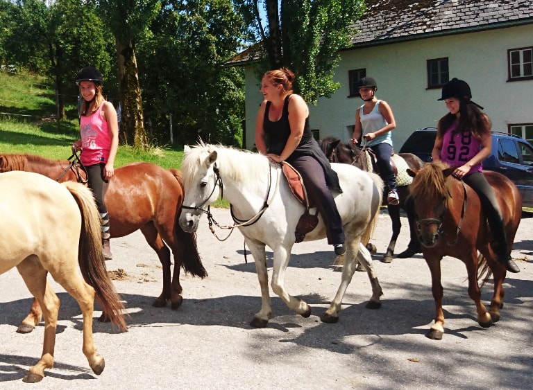 Rutas en grupo - Pferdehof Koaser Minerl