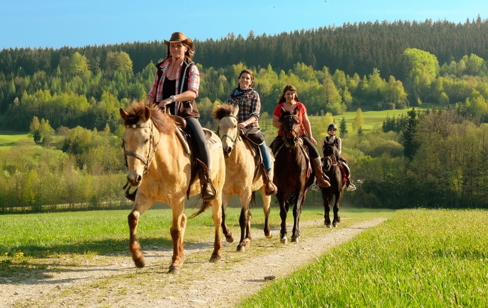 Austria, excellence in equestrian tourism