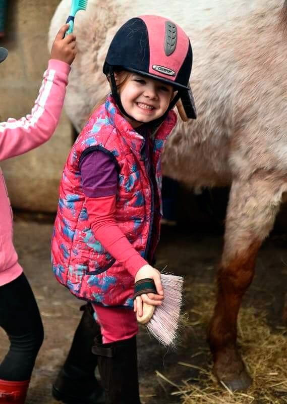 Taller de cuidado del caballo - Equus