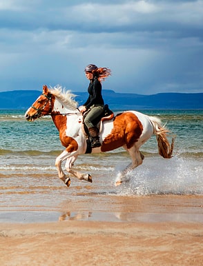 Highlands Unbridled - Schottland