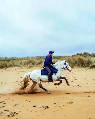 Recorrido por la playa - Highlands Unbridled