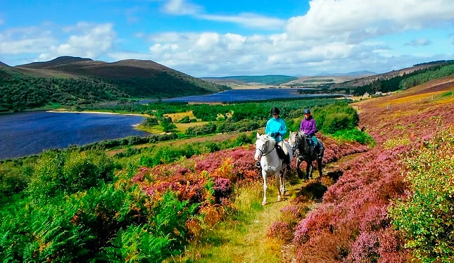 Highlands Unbridled equestrian routes