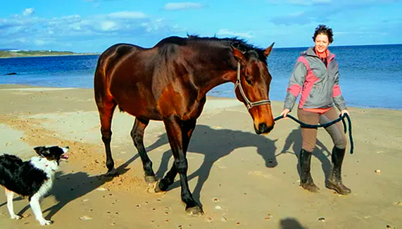 Senderos a caballo de Highlands Unbridled