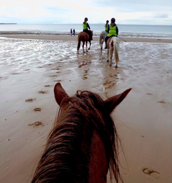 Senderos a caballo en la playa - Equus