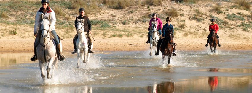 Paseo a caballo por la playa