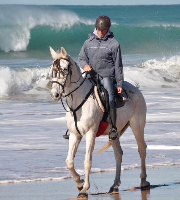 Paseo a caballo por la playa