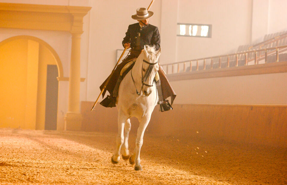 Exhibición Cómo Bailan los Caballos Andaluces