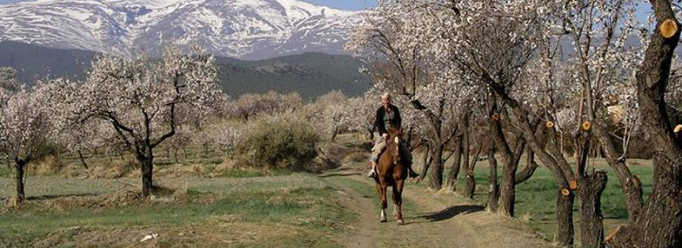 Rutas a caballo Sierra Nevada