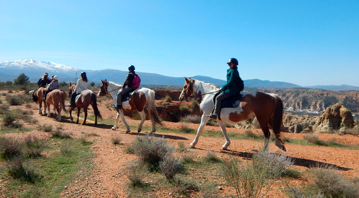 Rutas a caballo Sierra Nevada