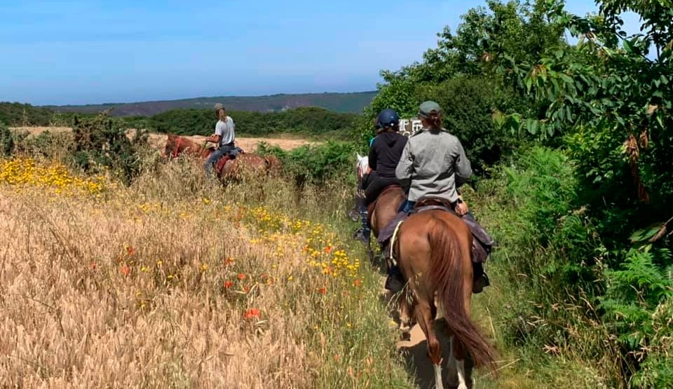 Rutas a caballo en Bretaña - Sommant Horse Team