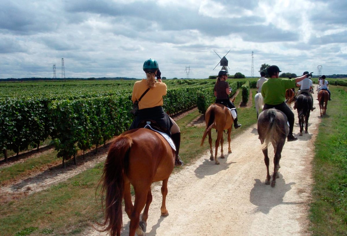 Champigny vineyards - Cheval & Châteaux