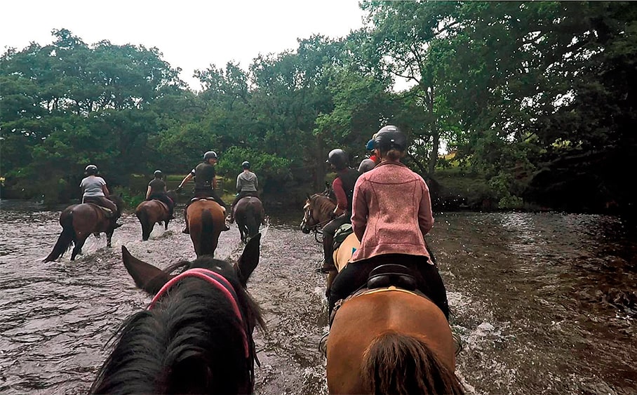 Crossing the River Elan