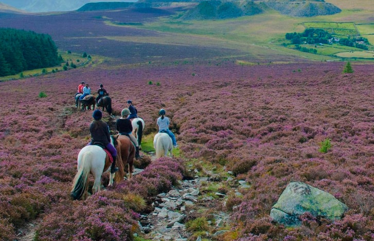 Vacaciones a caballo en Gales