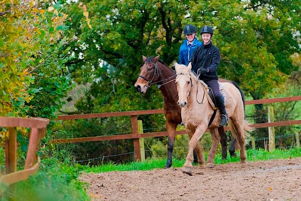 Montar a caballo en Gales