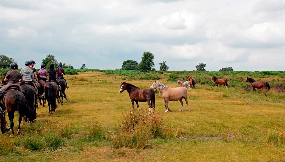 Montar a caballo en Gales